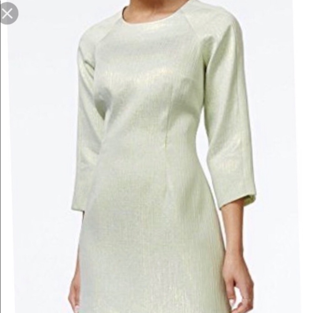 Brand new Rachel Roy